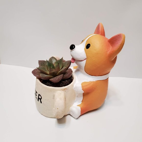 Corgi Planter with Echeveria Succulent, Dog with Watering Can, Animal Planter - Picture 4 of 7